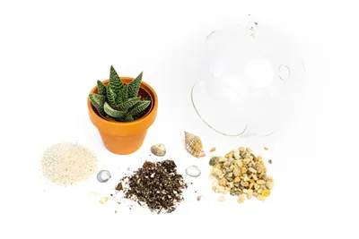 Obrázek produktu pro Gardners Aerárium koule 10 cm Osázej si sám