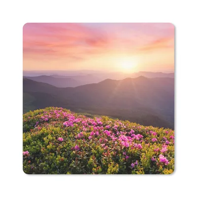 Produktbild von MuchoWow® Mauspad Mousepad Blumen - Berg - Sonnenuntergang - Landschaft 30x30 cm - Mousepads - Maus Mat - Pad - Mausunterlage - Gaming