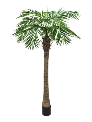 Obrázek produktu pro Europalms Phönixpalme luxor Kunstpflanze 150cm 82510720