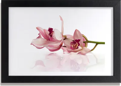 Produktbild von Bild 30x20 MDF-Rahmen, Wandkunst Orchidee