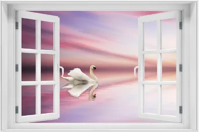 Produktbild von Wallario Wandbild mit Fenster-Illusion: Weißer Schwan im rosafarbenen See, Größe: 61 x 91,5 cm, Poster mit weißem Aluminiumrahmen