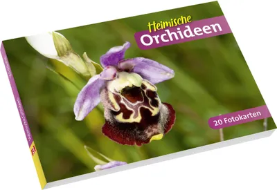 Produktbild von Heimische Orchideen