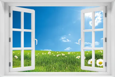 Produktbild von Wallario Wandbild aus Acryl, 60 x 90 cm, freischwebende Optik - Sommerwiese - Weiße Gänseblümchen vor blauem Himmel mit Fenster-Illusion