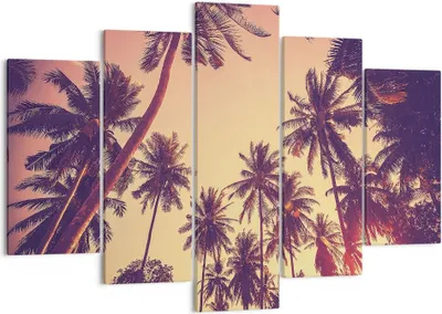 Produktbild von Bild auf Leinwand - Leinwandbild - 5 Teile - Palmen Himmel Sonne - 150x100cm - Wand Bild - Wanddeko - Wandbilder - Leinwanddruck - Bilder - Wanddekoration - Leinwand bilder - Wandbild - EA150x100-4220