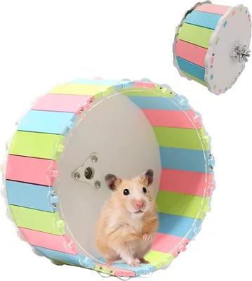 Produktbild von Geräuschloses Laufrad für Hamster, Chinchillas, Igel, Zwerghamster und andere Kleintiere