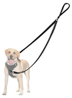 Produktbild von Doppelleine für Hunde mit Anti-Zieh-Funktion Schwarz Reflektierend