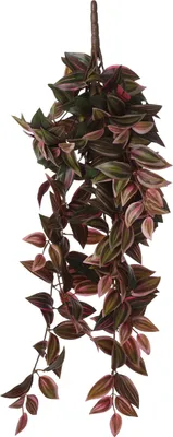 Obrázok produktu pre Sľudové dekorácie Tradescantia závesná umelá rastlina - D15 x Š20 x V54 cm - bordó červená