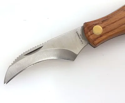 Produktbild von Herbertz Pilzmesser 211111 mit klappbarer Bürste und rostfreier Klinge, Pilzsammler Messer