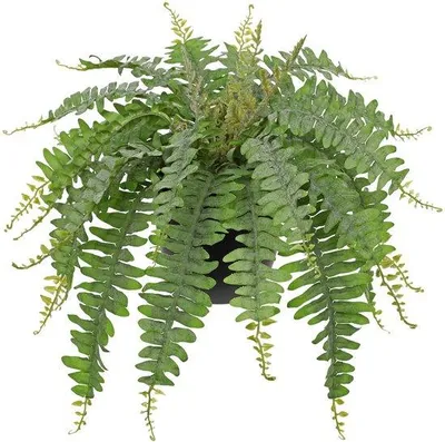 Immagine prodotto di Foglia di felce artificiale, 48 cm, nera e verde scuro, decorazione per interni ed esterni
