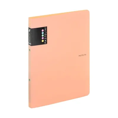 Image de Classeur PP A4 2kr. abricot