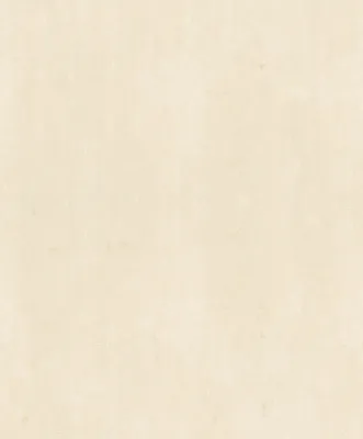 Produktbild von NEWROOM Tapete Beige Vliestapete Unifarbe -  Uni Creme