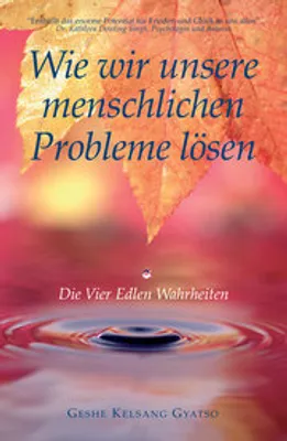 Obrázok produktu pre Wie wir unsere Probleme lösen