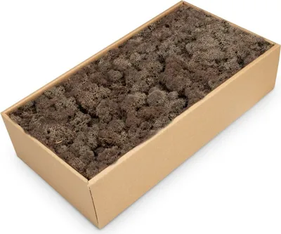 Produktbild von Islandmoos 500g in 30 Farben – Konserviertes Rentiermoos Natur, Farbe:Braun