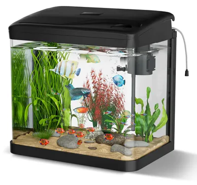 Glas-Aquarium 10 l, LED-Beleuchtung, Filter, Komplettset, schwarz