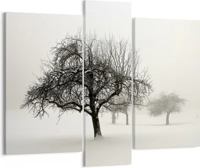 Produktbild von Bild auf Leinwand - Leinwandbild - 3 Teile - Bäume Schnee Nebel - 95x80cm - Wand Bild - Wanddeko - Wandbilder - Leinwanddruck - Bilder - Wanddekoration - Leinwand bilder - Wandbild - CB95x80-4136