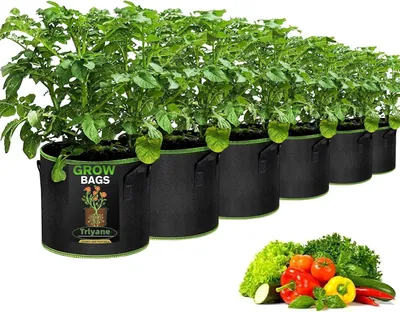 Obrázek produktu pro Pěstební vak o objemu 5 galonů, 6 kusů, rozměry 30 cm, vyrobený z netkané textilie, vhodný pro pěstování zeleniny