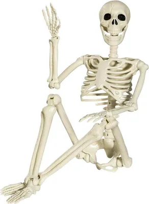 Productafbeelding van Famanu Halloween-skelet, 90 cm - Bewegend skelet voor binnen- en buitendecoratie