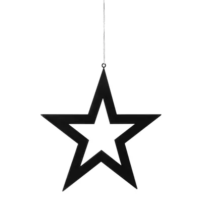 Produktbild von Fink Christbaumschmuck Hänger Stern INSA BHT 20x20x.10 cm schwarz