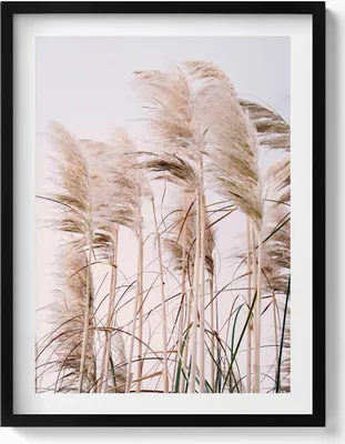 Produktbild von Romantische Landschaft mit Gräsern im Boho-Stil– Wandbild mit Rahmen – Gerahmtes Bild  – Wanddekoration – 60x80 cm –  Schwarz Rahmen
