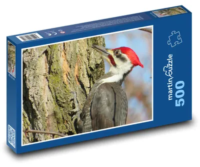 Zdjęcie produktu dla martinpuzzle - Puzzle 500 elementów - Datel