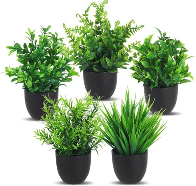 Produktbild von Aquarienpflanze 5 Stück künstliche Pflanzen, kleine Kunstpflanzen für Badezimmer, Innen- und Außenbereich, Heimdekoration (schwarz)