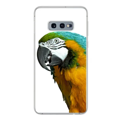 Produktbild von MuchoWow® Handyhülle Schutzhülle Hülle für Samsung Galaxy S10e Papagei - Vogel - Federn - Porträt Silikon Softcase Handy Hülle - Handy