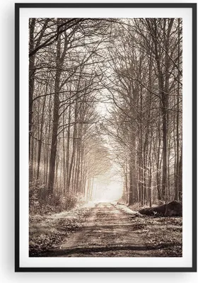 Produktbild von Gerahmtes Poster - Schwarzer Rahmen - Wald Straße Baum - 61x91,5 cm - Wand Bild - Wanddeko - Wandbilder - Kunstposter - Wandposter - Bilderrahmen - Bilder - Kunstdruck - Wandbild - P2BPA61x91-3620