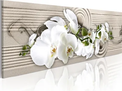 Image de Tableau moderne b-C-0003-b-c (135x45) - 1 pièce Tableaux Photographie sur toile Photo Décoration murale Tableaux Impression artistique ABSTRAIT FLEURS ORCHIDÉE SABLE