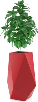 Immagine prodotto di promondo living: fioriera VOLCANO rosso (Volcano Czerwony)