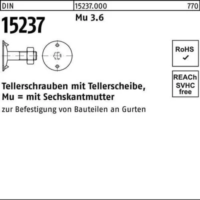 Produktbild von Reyher Tellerschrauben DIN 15237 3.6 M 10x45 (100 Stück)