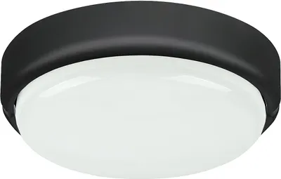 Image de Plafond extérieur moderne LED 15W Hort noir 7407 Rabalux