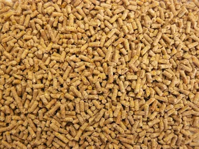 Produktbild von deuka W/Z-FUTTER gekörnt 25 kg