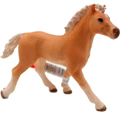 Obrázek produktu pro Schleich 13814 - Hříbě haflinga