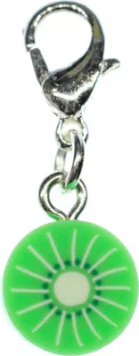 Produktbild von Kiwi Charm Miniblings Zipper Pull Anhänger Frucht Obst exotisch Scheibe grün