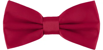Produktbild von Ladeheid Kinder Jungen Fliege MJ (10cm x 5cm, Wine4)
