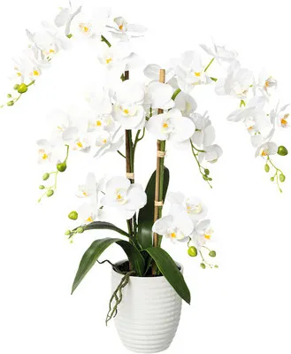 Obrázok produktu pre Umelá orchidea phalaenopsis 67 cm biela v keramickom kvetináči 13 x 15 cm Real Touch