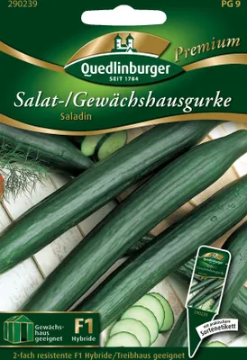 Produktbild von Quedlinburger Saatgut - Gewächshausgurken Saladin - Samen - 290239