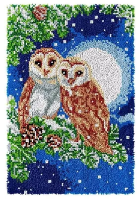 Productafbeelding van Knopenhaken-tapijtset, doe-het-zelf, set van twee uilen, 60 x 40 cm