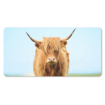 Produktbild von MuchoWow® Schreibtischunterlage Schottischer Highlander - Haare - Gras 80x40 cm - XXL Mauspad - Gaming Mauspad
