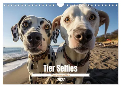 Immagine prodotto di Selfie con animali (calendario da parete 2027, formato A4 orizzontale), calendario mensile CALVENDO