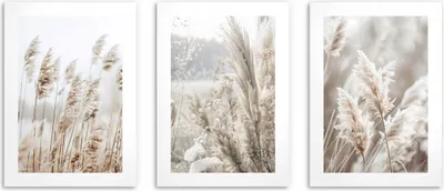 Produktbild von Posterset mit Rahmen fürs Schlafzimmer Wohnzimmer Wandbilder Grass Boho