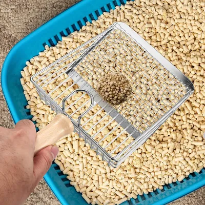 Produktbild von Katzenschaufel - Metallschaufel mit Holzgriff - 1 Stück