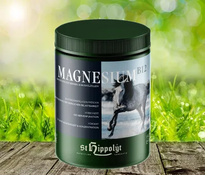 Produktbild von St. Hippolyt Magnesium B12 1 kg