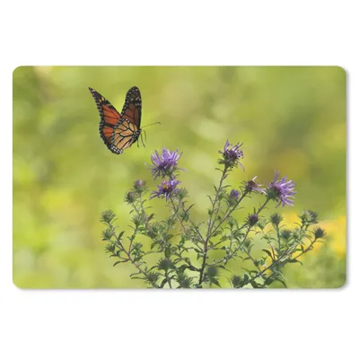Produktbild von MuchoWow® Schreibtischunterlage Blumen - Schmetterling - Strauch 60x40 cm - XXL Mauspad - Großes Mauspad