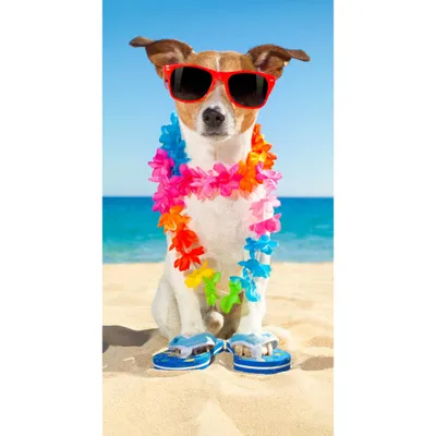 Produktbild von Beach towel Good Morning 75x150 cm - dog