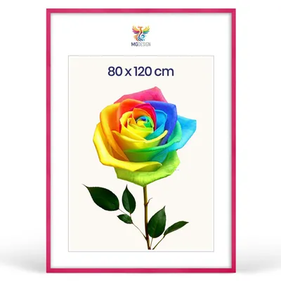 Produktbild von MG Design Bilderrahmen Rosa 80x120 cm - Posterrahmen Echtholz mit Acrylglas, verstärkte Wandaufhängung, hoch/quer