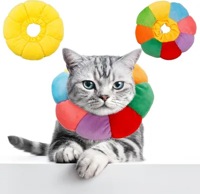 Produktbild von 2 Stück Halskrause Katze Halskrausen für Katzen Cat Collar, Einstellbar Katzenkragen Halskrause Kitten Halsband Kragen Cone Anti Biss für Katzen Kleiner Hunde Nach Operation Verletzungen
