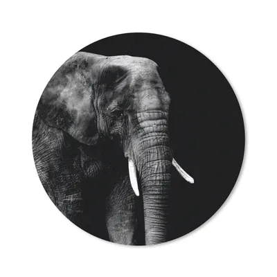 Produktbild von MuchoWow® Mauspad Mousepad Elefant - Tiere - Schwarz - Weiß 30x30 cm - Mousepads - Maus Mat - Pad - Mausunterlage - Tischunterlage - Schreibtischmatten