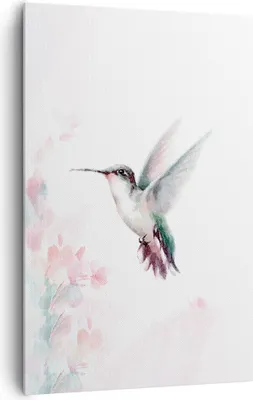 Produktbild von Bild auf Leinwand - Leinwandbild - Einteilig - Kolibri Aquarell Licht - 80x120cm - Wand Bild - Wanddeko - Wandbilder - Leinwanddruck - Wanddekoration - Leinwand bilder - Wandbild - PA80x120-4518