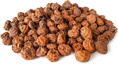 Produktbild von Large Tigernüsse 12-15mm 20KG | Karpfen futter